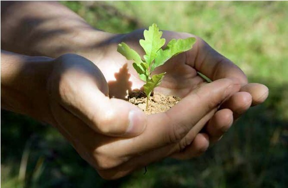 Sustainability